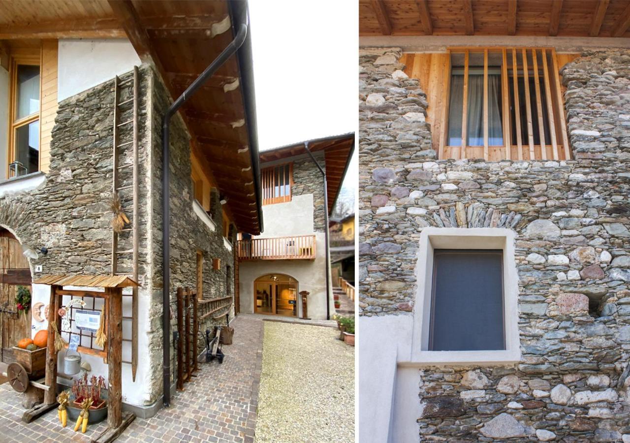 Agriturismo Farmhouse La Barberina 卡塞兰尼卡奥拉格 外观 照片