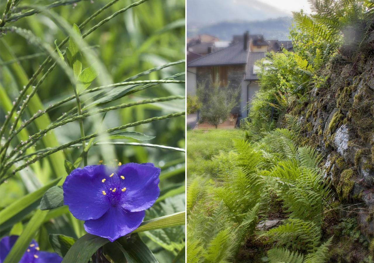 Agriturismo Farmhouse La Barberina 卡塞兰尼卡奥拉格 外观 照片