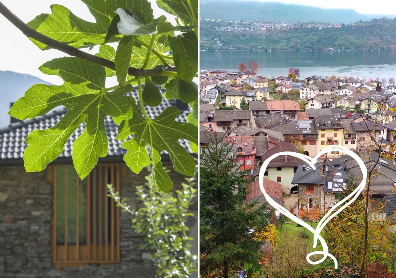 Agriturismo Farmhouse La Barberina 卡塞兰尼卡奥拉格 外观 照片